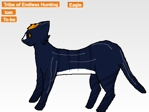 Warrior Cat Generator