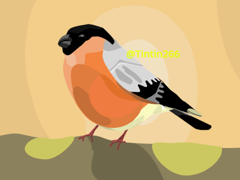 Competition entry