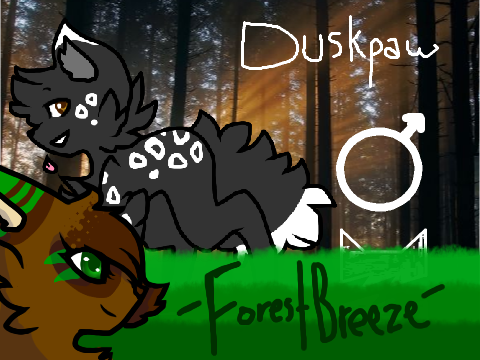 Warriors : New Generation : Duskpaw