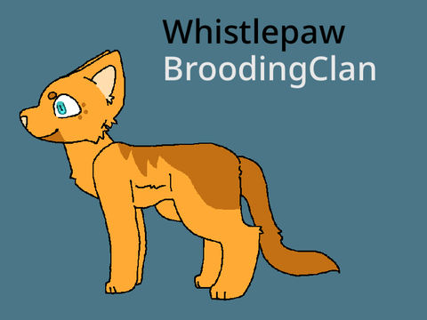 I started planing some cats