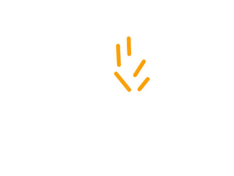 Fire - Test Animation