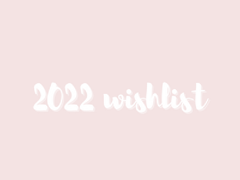 2022 christmas wishlist