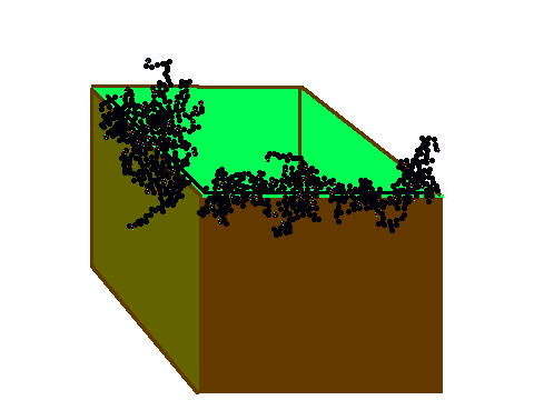 random growth 2