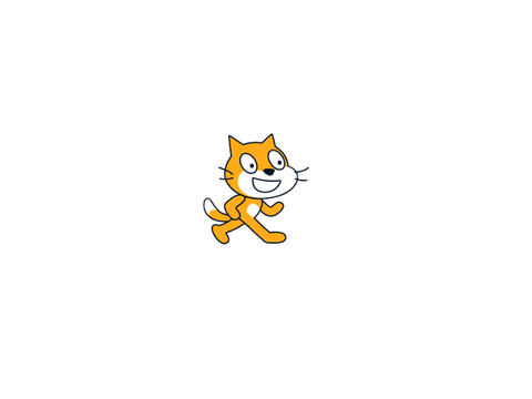 suuing cat