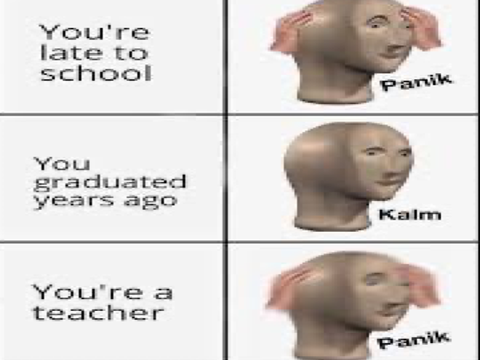 Compilation of Memes: