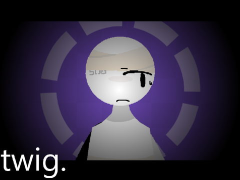 【10. twig. (edited coding)】