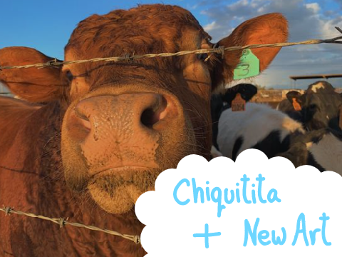⛧ Chiquitita + New Art