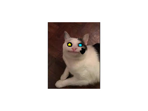 free pfps I make