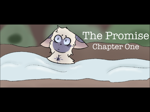 ❝ The Promise . Chapter One ❞