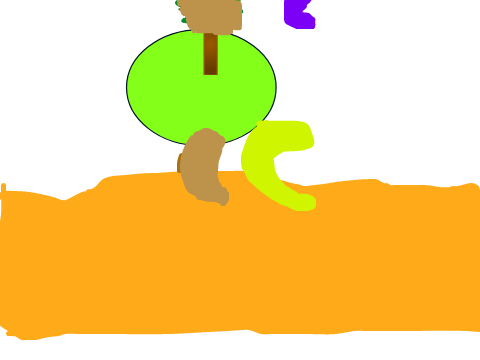 BEANS (beta)
