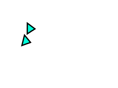 Evader
