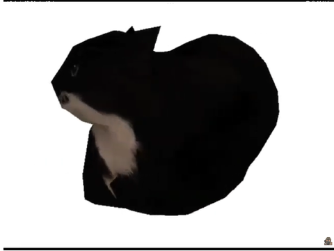 Maxwell the cat