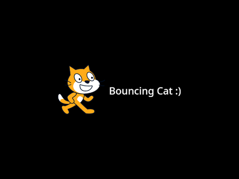 Bouncing Cat :)