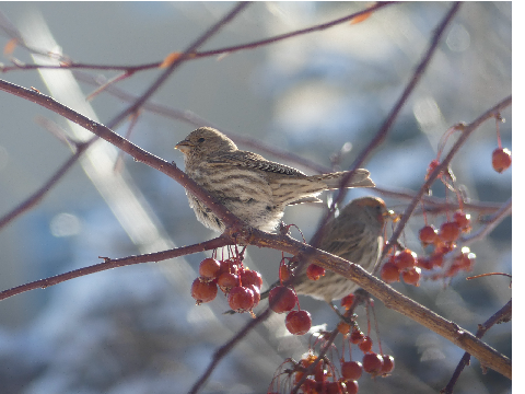 Photos I took with my new camera