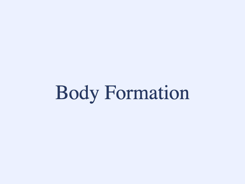 Body Formation