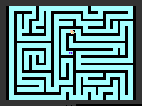Cat Maze