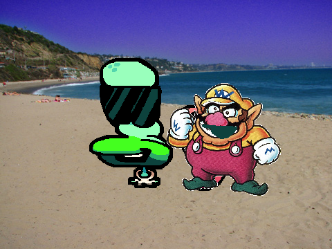 want andWARIO