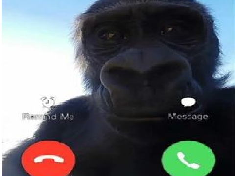 Who airdropped me this