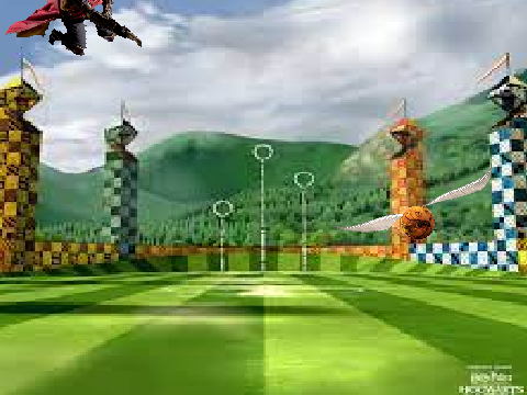 Quidditch Level 1