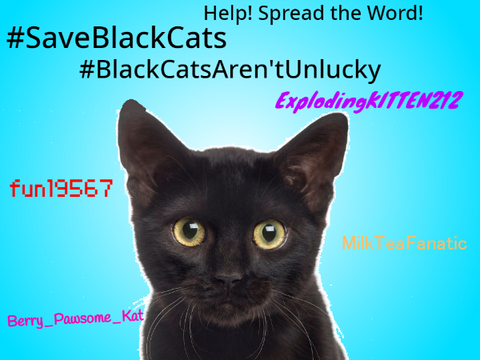 #SaveBlackCats [] Remix to support! 