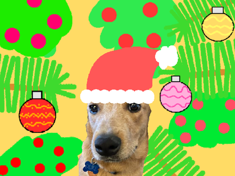 Santa Paws is Comin' to Town