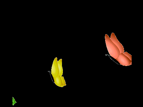 Butterfly