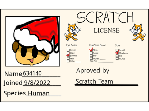 Make Your Own Scratch License 