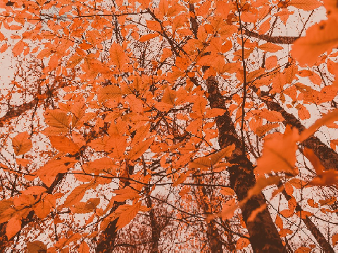 ☀ - ͙۪۪̥˚┊ 2/5 ┊˚ ͙۪۪̥◌ ☀