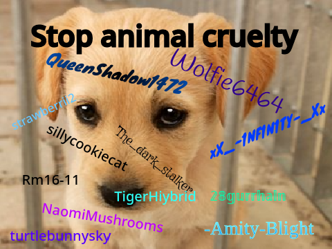 Sign to stop animal cruelty remix remix remix remix remix remix remix remix remix remix remix remix