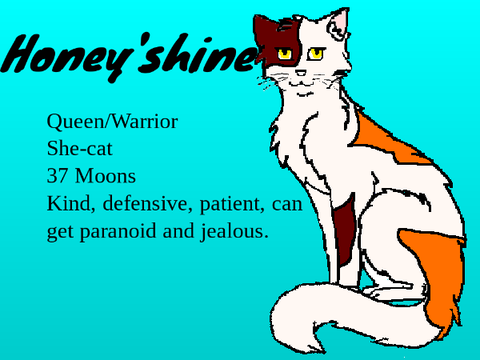 ~~Honey'shine character ref sheet~~