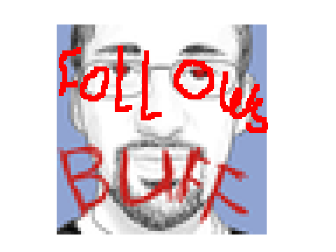 FREE FOLLOWS