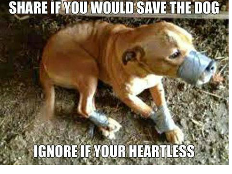 Would you save? WHO WOULDN’T remix