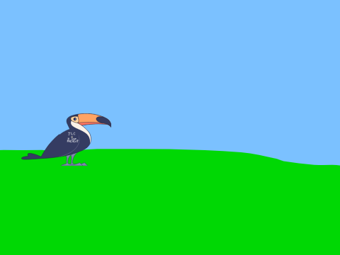  (SCHOOL) bird eye