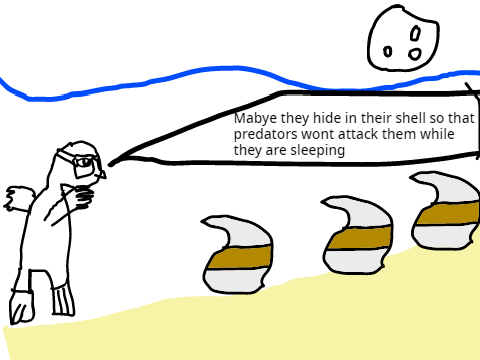 Animation for school: Flame (i)N shell