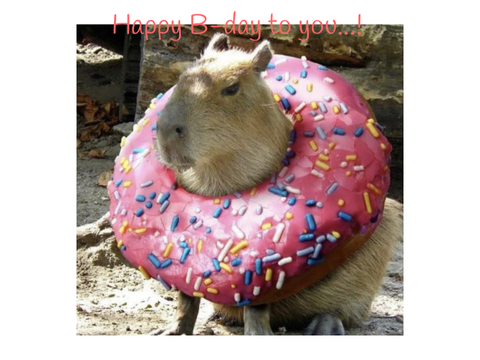 Capybara~ meme 