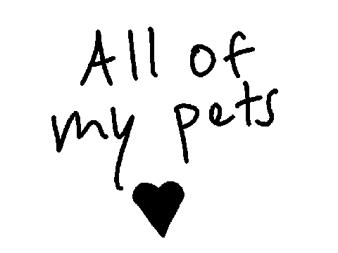 My Pets ^w^