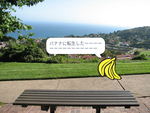 バナナ転生➀