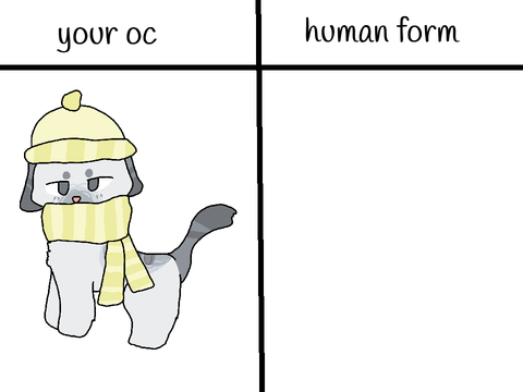 ✦ :3