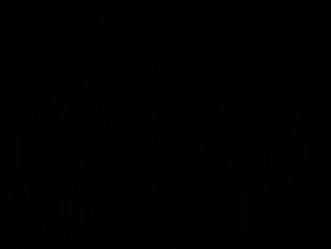 Particles / Fire Works Effect