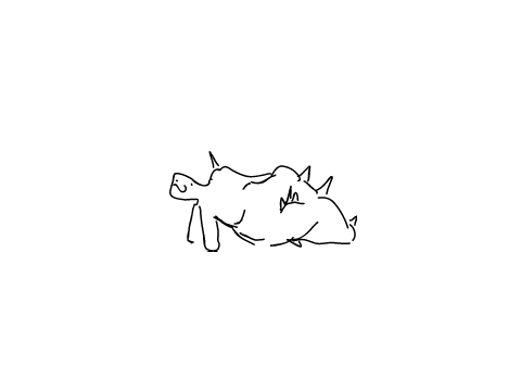 Pony