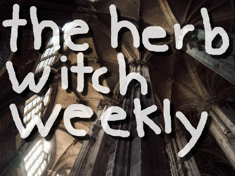 ◦•●◉✿ the herb witch weekly : sixth edition ✿◉●•◦