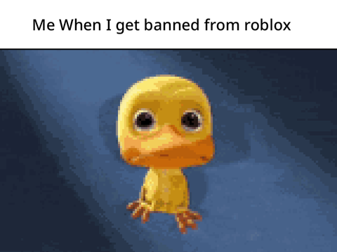 me when I get banned from roblox