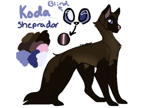 Koda Ref 12.21.22