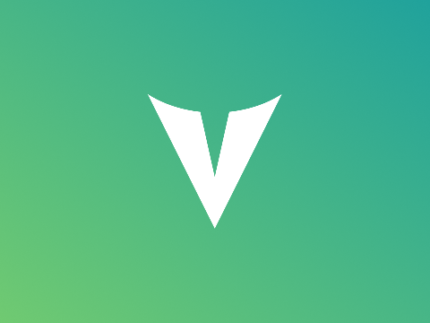Letter V Logo