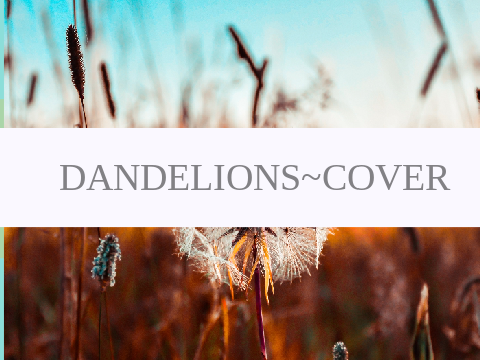 *ೃ༄ Dandelions _ Cover *ೃ༄