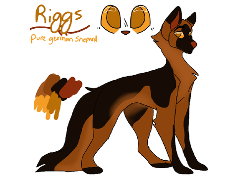 Riggs Ref