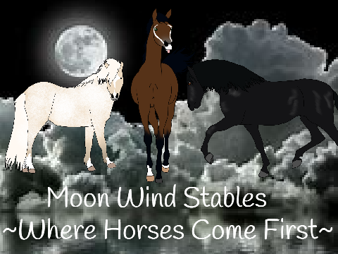 ❤ Moon Wind Stables - Where Horses Come First ❤ *WIP*