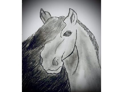 Horse Art Contest Entry (Bailey, Female)