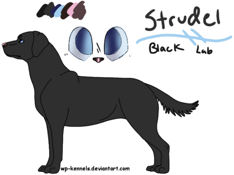 Strudel Ref