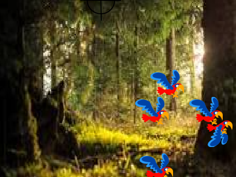 bird hunter